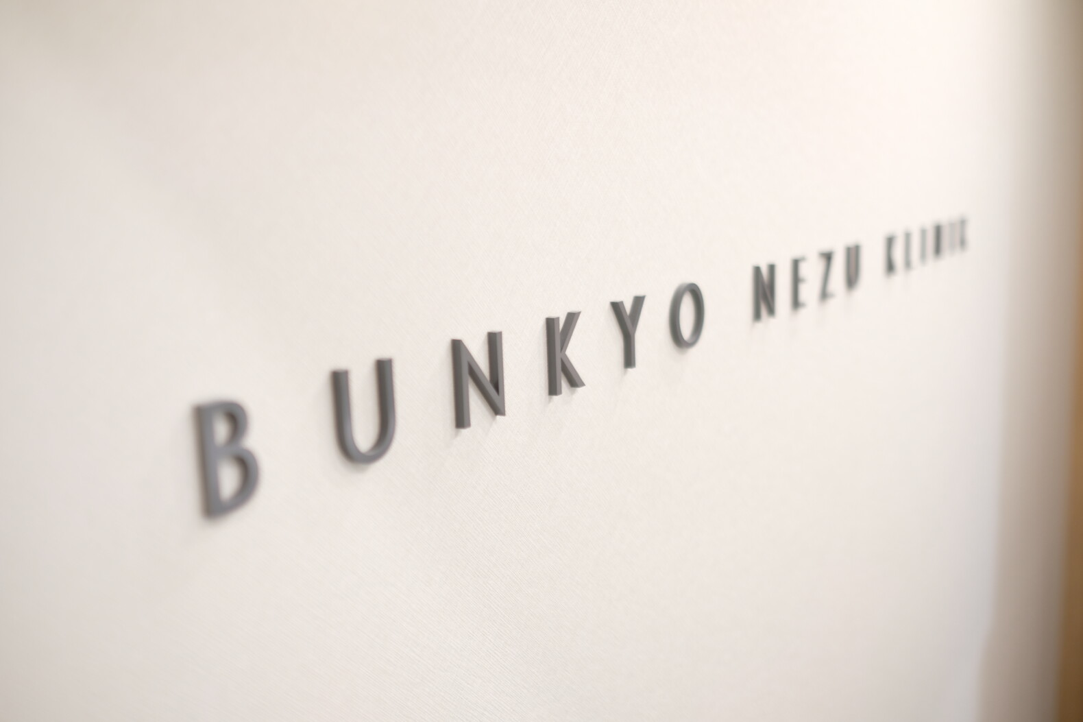 BUNKYO NEZU KLINIK | GARAN デザイン・設計実績