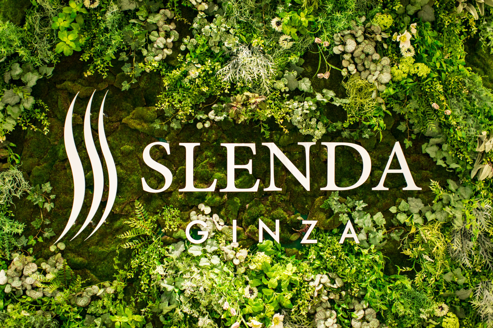 SLENDA GINZA | GARAN デザイン・設計実績