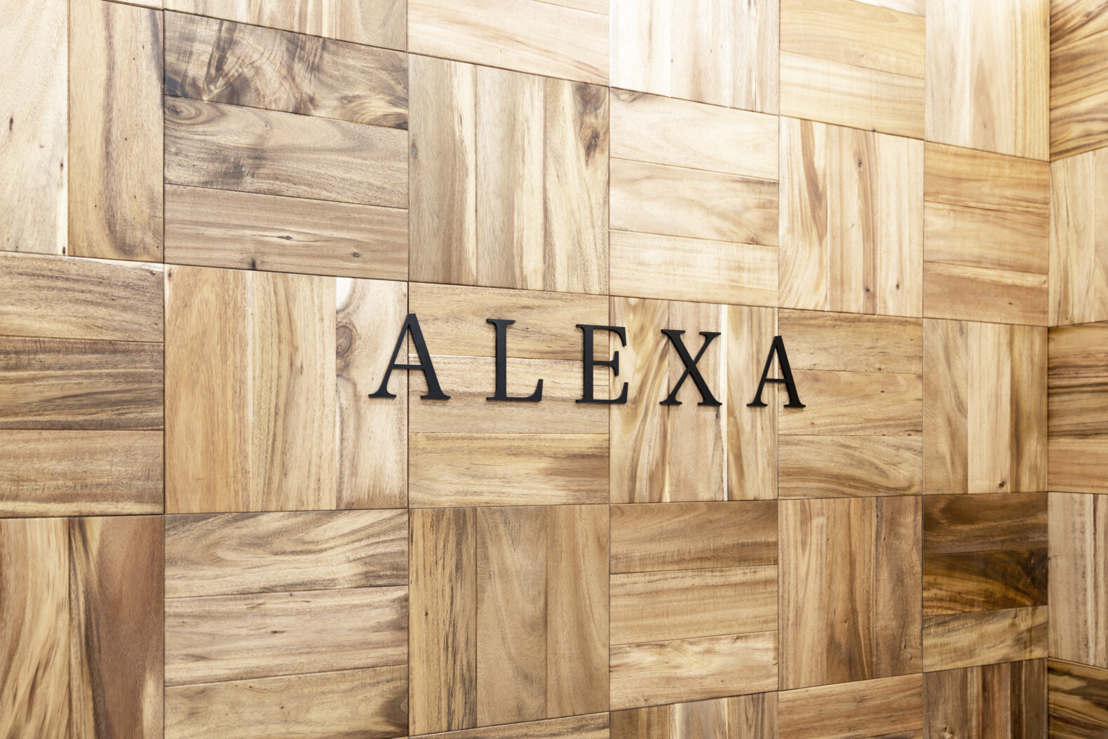 ALEXA | GARAN デザイン・設計実績